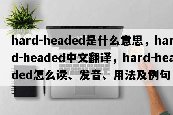 hard-headed是什么意思，hard-headed中文翻译，hard-headed怎么读、发音、用法及例句