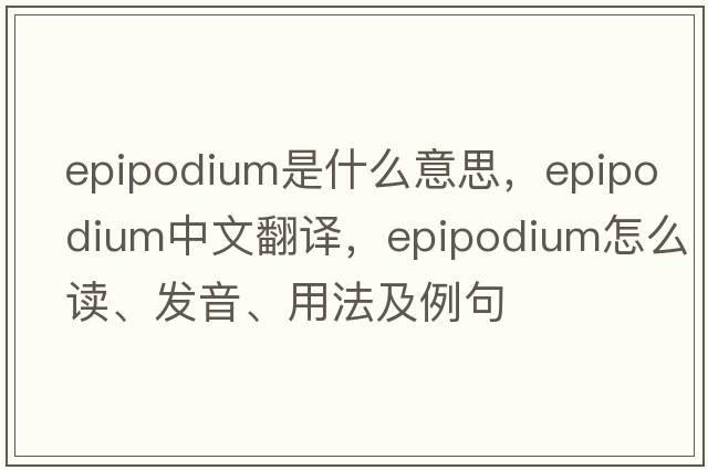 epipodium是什么意思，epipodium中文翻译，epipodium怎么读、发音、用法及例句