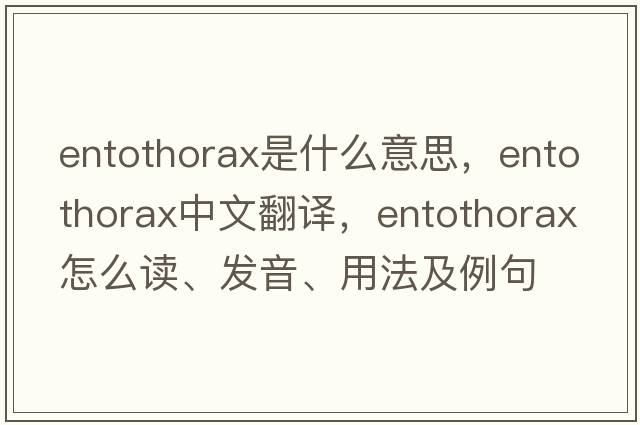 entothorax是什么意思，entothorax中文翻译，entothorax怎么读、发音、用法及例句