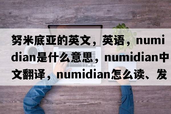 努米底亚的英文，英语，Numidian是什么意思，Numidian中文翻译，Numidian怎么读、发音、用法及例句