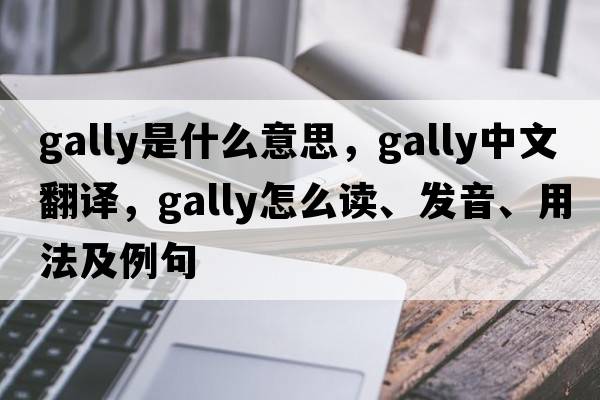 gally是什么意思，gally中文翻译，gally怎么读、发音、用法及例句