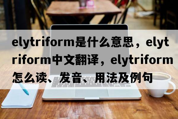 elytriform是什么意思，elytriform中文翻译，elytriform怎么读、发音、用法及例句