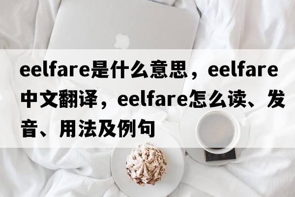 eelfare是什么意思，eelfare中文翻译，eelfare怎么读、发音、用法及例句