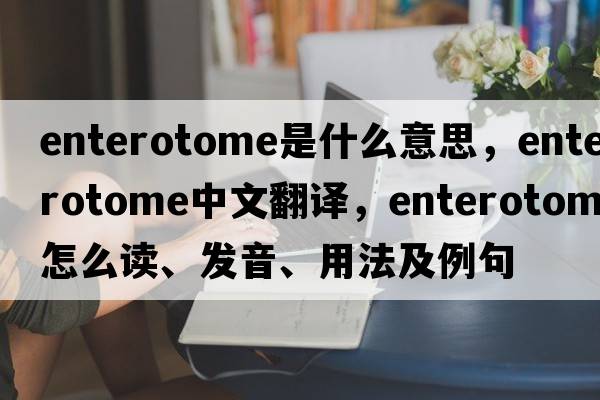 enterotome是什么意思，enterotome中文翻译，enterotome怎么读、发音、用法及例句