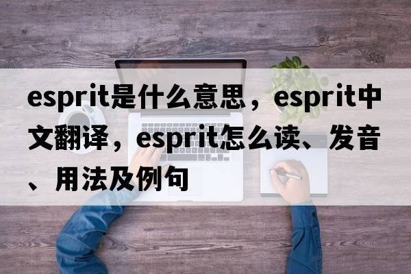 esprit是什么意思，esprit中文翻译，esprit怎么读、发音、用法及例句