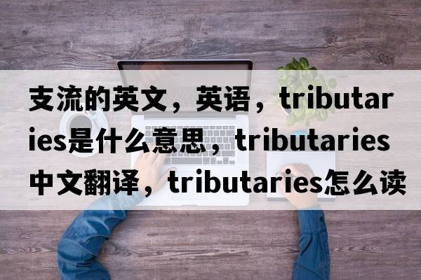 支流的英文，英语，tributaries是什么意思，tributaries中文翻译，tributaries怎么读、发音、用法及例句