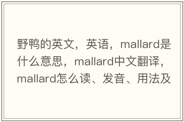 野鸭的英文，英语，mallard是什么意思，mallard中文翻译，mallard怎么读、发音、用法及例句