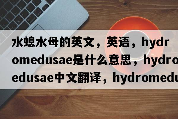 水螅水母的英文，英语，hydromedusae是什么意思，hydromedusae中文翻译，hydromedusae怎么读、发音、用法及例句