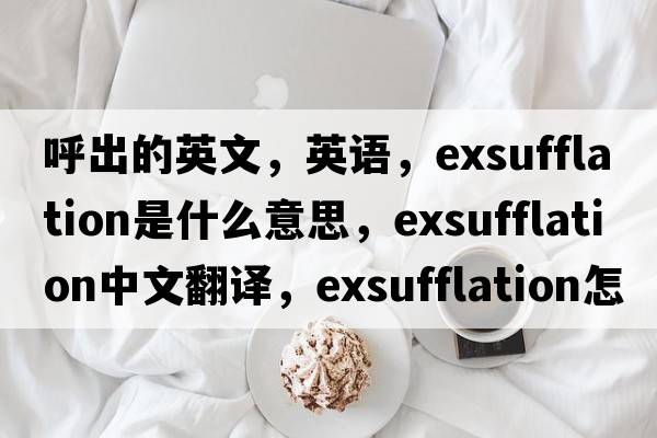 呼出的英文，英语，exsufflation是什么意思，exsufflation中文翻译，exsufflation怎么读、发音、用法及例句