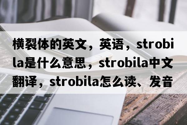 横裂体的英文，英语，strobila是什么意思，strobila中文翻译，strobila怎么读、发音、用法及例句