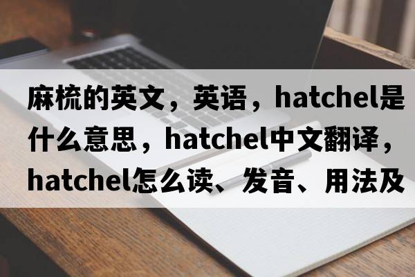 麻梳的英文，英语，hatchel是什么意思，hatchel中文翻译，hatchel怎么读、发音、用法及例句