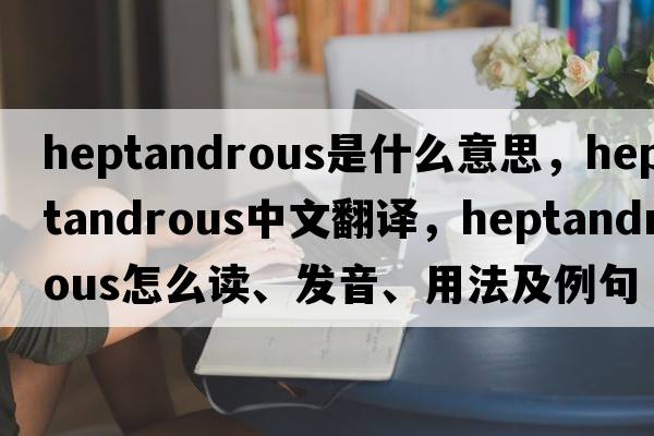 heptandrous是什么意思，heptandrous中文翻译，heptandrous怎么读、发音、用法及例句