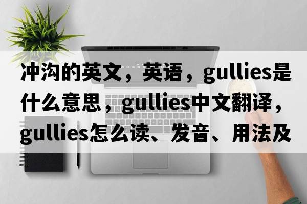 冲沟的英文，英语，gullies是什么意思，gullies中文翻译，gullies怎么读、发音、用法及例句