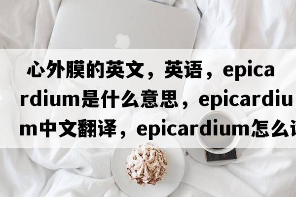  心外膜的英文，英语，epicardium是什么意思，epicardium中文翻译，epicardium怎么读、发音、用法及例句