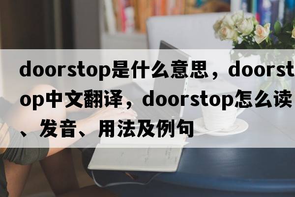 doorstop是什么意思，doorstop中文翻译，doorstop怎么读、发音、用法及例句