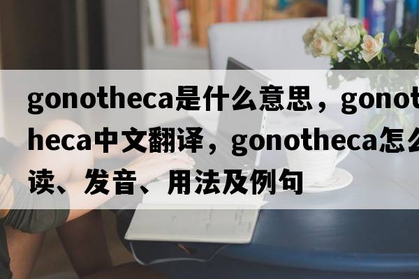 gonotheca是什么意思，gonotheca中文翻译，gonotheca怎么读、发音、用法及例句