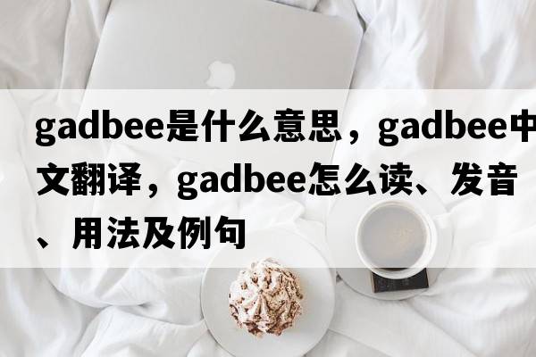 gadbee是什么意思，gadbee中文翻译，gadbee怎么读、发音、用法及例句