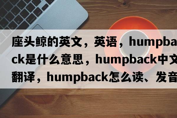 座头鲸的英文，英语，humpback是什么意思，humpback中文翻译，humpback怎么读、发音、用法及例句