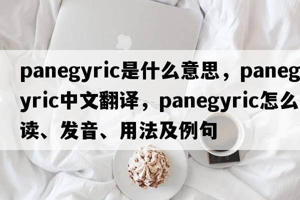 panegyric是什么意思，panegyric中文翻译，panegyric怎么读、发音、用法及例句