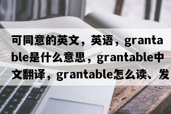 可同意的英文，英语，grantable是什么意思，grantable中文翻译，grantable怎么读、发音、用法及例句