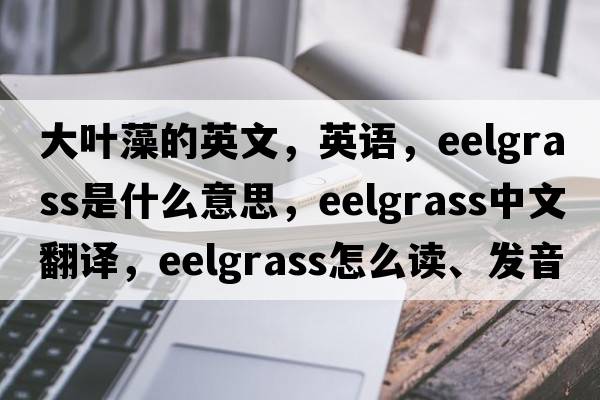 大叶藻的英文，英语，eelgrass是什么意思，eelgrass中文翻译，eelgrass怎么读、发音、用法及例句