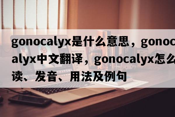 gonocalyx是什么意思，gonocalyx中文翻译，gonocalyx怎么读、发音、用法及例句