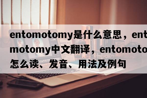 entomotomy是什么意思，entomotomy中文翻译，entomotomy怎么读、发音、用法及例句