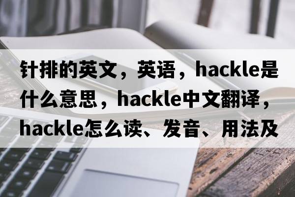 针排的英文，英语，hackle是什么意思，hackle中文翻译，hackle怎么读、发音、用法及例句