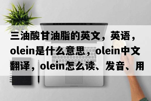 三油酸甘油脂的英文，英语，olein是什么意思，olein中文翻译，olein怎么读、发音、用法及例句