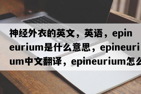 神经外衣的英文，英语，epineurium是什么意思，epineurium中文翻译，epineurium怎么读、发音、用法及例句