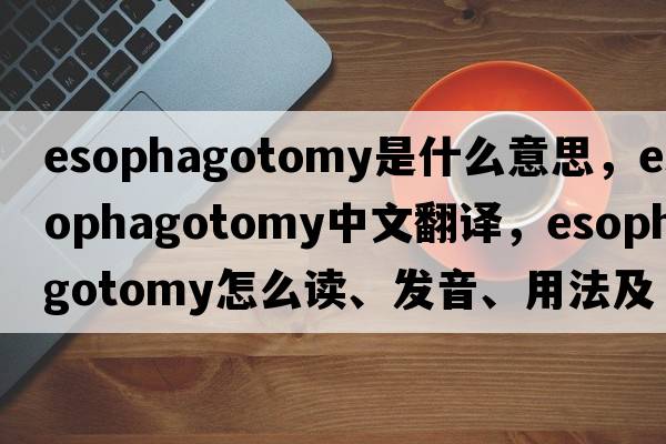 esophagotomy是什么意思，esophagotomy中文翻译，esophagotomy怎么读、发音、用法及例句