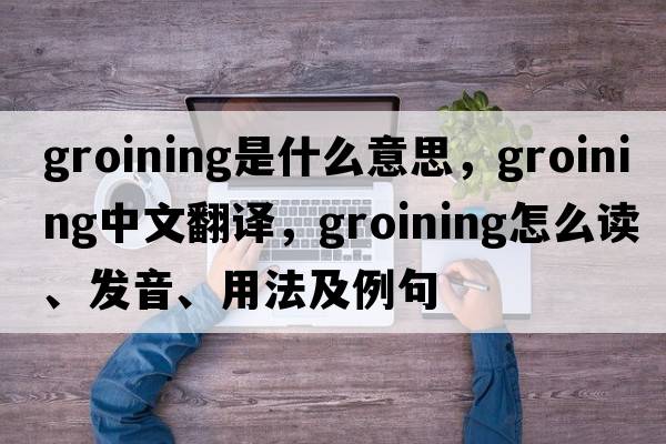 groining是什么意思，groining中文翻译，groining怎么读、发音、用法及例句