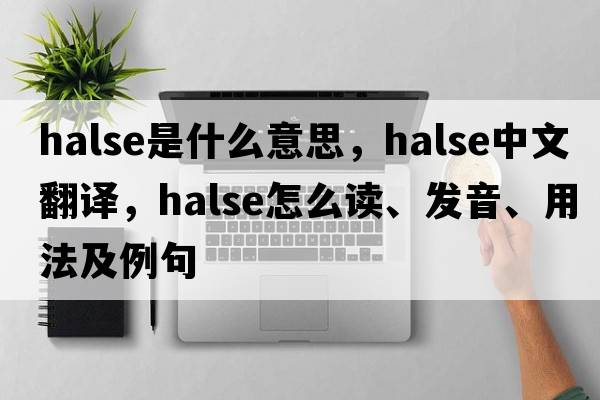 Halse是什么意思，Halse中文翻译，Halse怎么读、发音、用法及例句