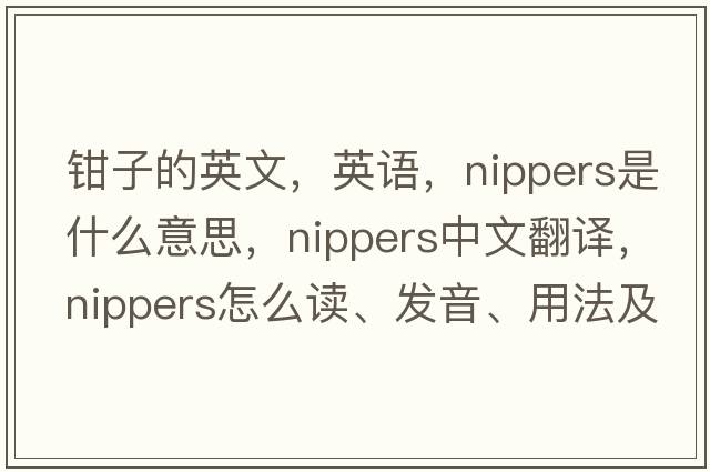 钳子的英文，英语，nippers是什么意思，nippers中文翻译，nippers怎么读、发音、用法及例句