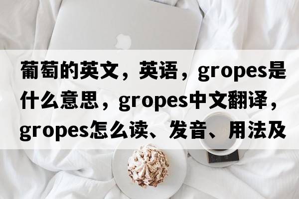 葡萄的英文，英语，gropes是什么意思，gropes中文翻译，gropes怎么读、发音、用法及例句