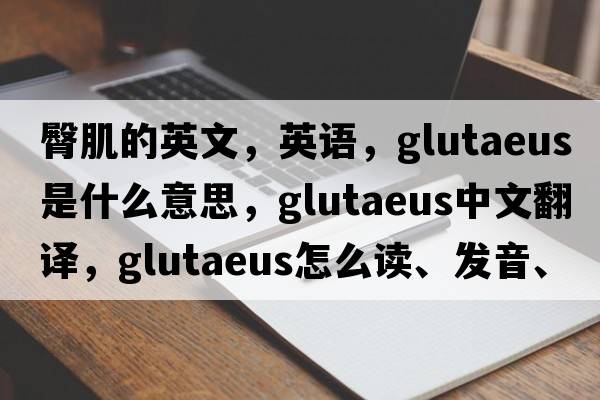 臀肌的英文，英语，glutaeus是什么意思，glutaeus中文翻译，glutaeus怎么读、发音、用法及例句