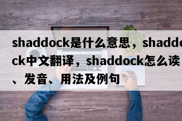 shaddock是什么意思，shaddock中文翻译，shaddock怎么读、发音、用法及例句