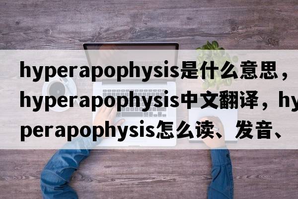 hyperapophysis是什么意思，hyperapophysis中文翻译，hyperapophysis怎么读、发音、用法及例句