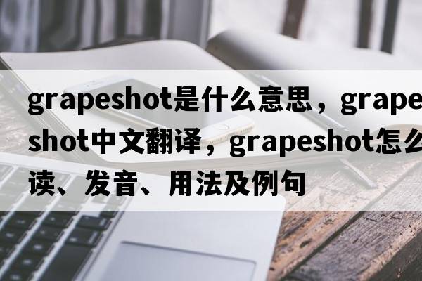 grapeshot是什么意思，grapeshot中文翻译，grapeshot怎么读、发音、用法及例句