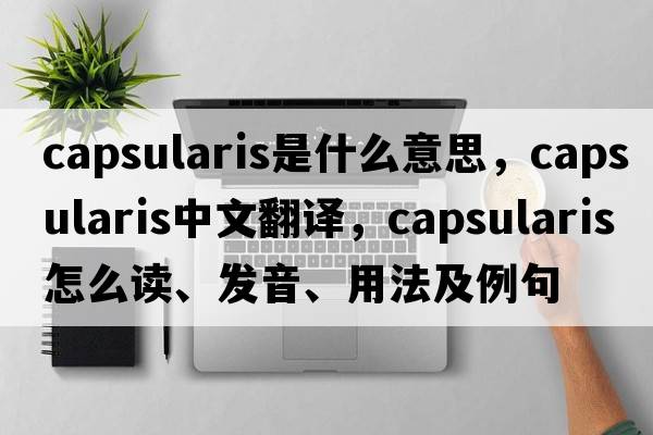 Capsularis是什么意思，Capsularis中文翻译，Capsularis怎么读、发音、用法及例句