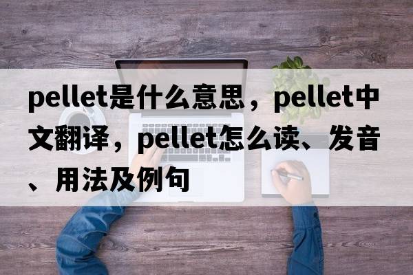 pellet是什么意思，pellet中文翻译，pellet怎么读、发音、用法及例句