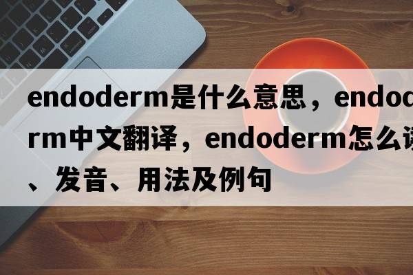 endoderm是什么意思，endoderm中文翻译，endoderm怎么读、发音、用法及例句