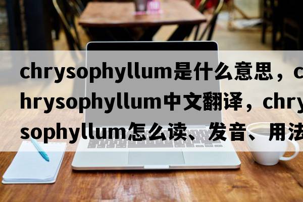 Chrysophyllum是什么意思，Chrysophyllum中文翻译，Chrysophyllum怎么读、发音、用法及例句