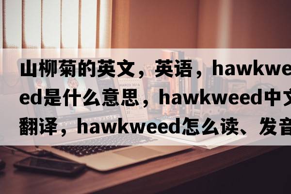 山柳菊的英文，英语，hawkweed是什么意思，hawkweed中文翻译，hawkweed怎么读、发音、用法及例句