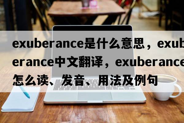 exuberance是什么意思，exuberance中文翻译，exuberance怎么读、发音、用法及例句