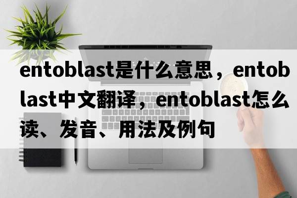 entoblast是什么意思，entoblast中文翻译，entoblast怎么读、发音、用法及例句