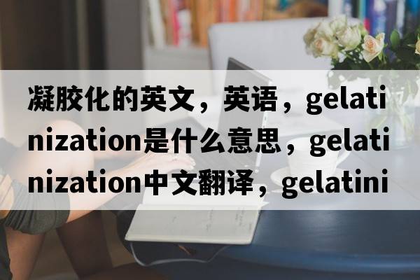 凝胶化的英文，英语，gelatinization是什么意思，gelatinization中文翻译，gelatinization怎么读、发音、用法及例句