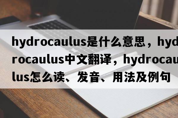 hydrocaulus是什么意思，hydrocaulus中文翻译，hydrocaulus怎么读、发音、用法及例句