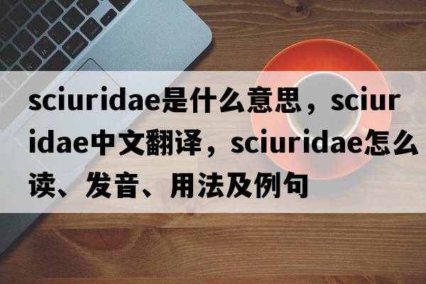 Sciuridae是什么意思，Sciuridae中文翻译，Sciuridae怎么读、发音、用法及例句