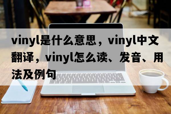 vinyl是什么意思，vinyl中文翻译，vinyl怎么读、发音、用法及例句